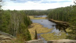 Elaborate system of beaver ponds in Algonquin Provincial Park, Ontario.